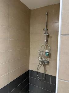 a shower with a shower head in a bathroom at Maryvent Apartment in Sainte-Anne +22 photos
