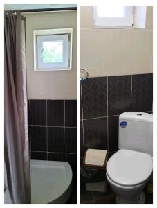 two pictures of a bathroom with a toilet and a window at Садиба для відпочинку in Vyshka +19 photos