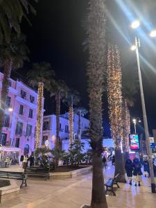 a group of palm trees with christmas lights at Al Castello 2 in Bari +6 photos