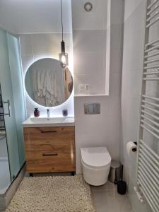 a bathroom with a sink and a toilet and a mirror at Bieszczadzka Chata Stańkowa in Ropienka +19 photos