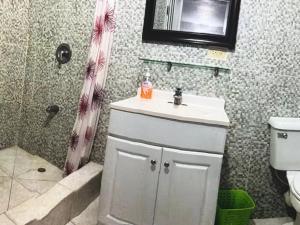 a bathroom with a sink and a shower at Tropical Tabago in Carnbee Village