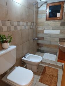 a bathroom with a toilet and a sink and a shower at Potrero Loft in Potrero de Garay