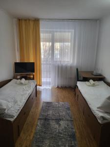 Un pat sau paturi într-o cameră la Hotel Codreanu