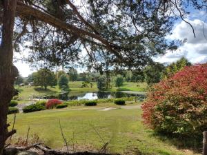 a view of a park with a pond at The Cottage Inn At Amos Lake in Preston +22 photos