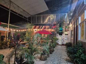 a room filled with lots of potted plants at Libélula Hotel in Puerto Maldonado