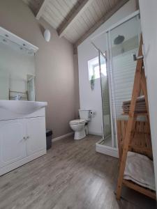 a bathroom with a toilet and a sink and a ladder at Grand Case Beach Steps in Grand Case +14 photos