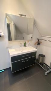 a bathroom with a sink and a mirror at De Drie Populieren in Losser