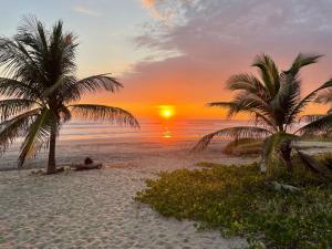 a person sitting under two palm trees on a beach at Casa MANDALA in Santa María Colotepec
