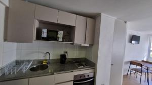 a kitchen with a sink and a microwave at Departamento Studio en pleno centro de Concepción in Concepción