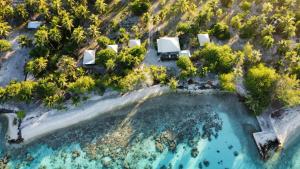 an aerial view of an island with trees and blue water at MONITA VILLA Rangiroa in Tiputa