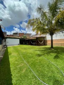 a green yard with a palm tree and a building at Casa ao ar livre in Aracaju