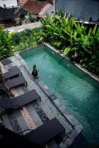 an overhead view of a swimming pool in a garden at Goutama Homestay in Ubud