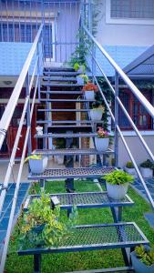 a set of stairs with potted plants on them at Buon Riposo in Córdoba