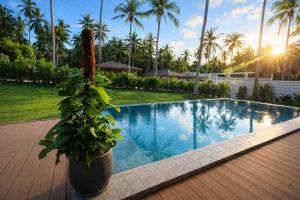 a potted plant sitting next to a swimming pool at AVA Radharani Villa in Wok Tum