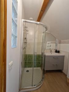 a bathroom with a shower and a sink at Studio indépendant de 2 à 4 personnes in La Biolle