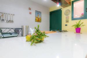 Fotografie z fotogalerie ubytování Alba Salentina v destinaci Veglie