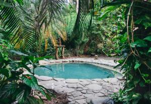 a small pool in the middle of a forest at Maravilla Ojo Del Mar Naturelodge in Puerto Jiménez