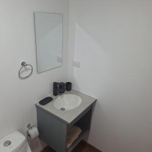 a bathroom with a sink and a mirror and a toilet at Cabaña Roquin Patagonia in Chile Chico +11 photos