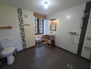 a bathroom with a toilet and a sink at Relais de la vallée de l'ource in Villars-Montroyer