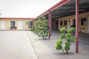 a row of small trees in front of a building at The Lodge Village - Workforce Accommodation in Moranbah