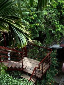 a wooden bench in a garden with plants at Cat Bungalow Stay in Cư Chinh
