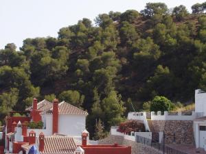 a mountain with a bunch of trees on it at Casa José in La Herradura