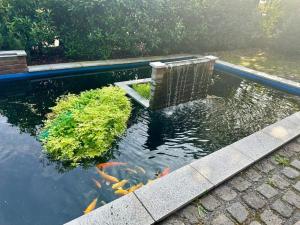 a swimming pool with a fish in it at Aparthotel Casa Vasco - by Willms & Schömer eG in Euskirchen