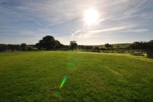 a green field with the sun in the sky at Montgomery Barn in Bideford