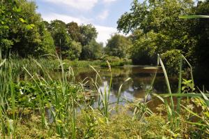 a body of water with trees and grass at Montgomery Barn in Bideford