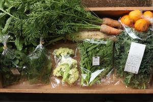a display of vegetables on a shelf in a store at 柿畑の宿 Private stay with farm and house all to yourself in Katsuragi +40 photos