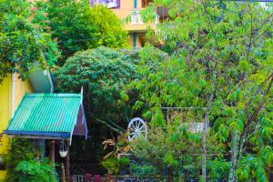 Zahrada ubytování Green Haven Villa & Guest House