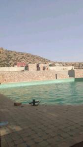 a pool of green water with at Maison d hôtes Tioute Chez Abdelmajid in Tiout