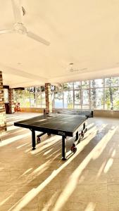 a large ping pong table in a room with windows at Blue Pine Orchards in Lansdowne
