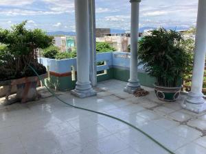 a green hose is on a balcony with plants at TuNo Homestay in Tuy Hoa