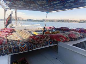 a boat with two beds and a cat sitting on it at Aswan all-inclusive private felucca in Aswan