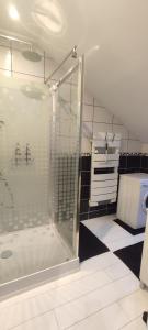 a bathroom with a shower with a glass door at Charmant Loft climatisé 50 m de la gare in Chalon-sur-Saône