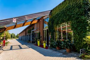 Jardí fora de Business Hotel