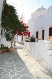 a small alley with a tree and white buildings at Anima Apartments in Chora Folegandros