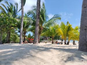 a group of palm trees on a sandy beach at Private Balinese Bungalow for 2 - Shared pool - Lamai Koh Samui in Nathon Bay +20 photos