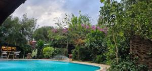 a swimming pool in a yard with trees and flowers at Lukenya Motorcross in Machakos