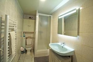 a bathroom with a sink and a toilet and a mirror at Familial 'le chiron' in Thiat +33 photos