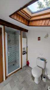 a bathroom with a toilet and a glass shower at La ferme des souvenirs in Vaulry +25 photos