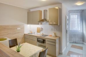 Kuchyň nebo kuchyňský kout v ubytování Apartements Studio 964