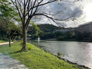 a tree sitting next to a body of water at Beach condos at Pico de Loro Cove & possible Beach Club Access & Wi-Fi & Netflix, 42-50''TVs with Uratex beds & pillows, equipped kitchen, balcony, parking, guest registration fee is not included in Nasugbu +172 photos