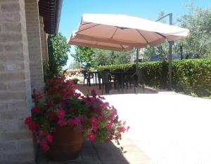 Fotografia z galérie ubytovania Tenuta Colverano v destinácii Montefalco
