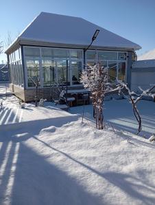 a house with a tree in the snow at Moy Dom in İsmayıllı