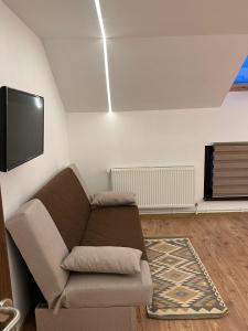 a living room with a couch and a flat screen tv at The Forest Nest Apartment in Sărmaş