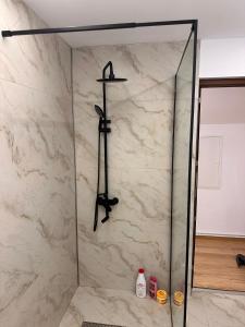 a shower in a bathroom with a marble wall at The Forest Nest Apartment in Sărmaş +9 photos