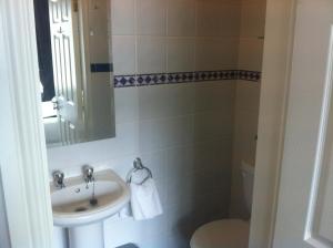 a bathroom with a sink and a toilet at Abbey Lodge B&B in Galway +27 photos