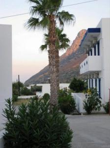 eine Palme vor einem Gebäude mit einem Berg in der Unterkunft Christina Studios in Kefalos